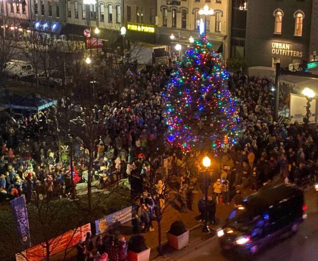 Lexington Tree Lighting