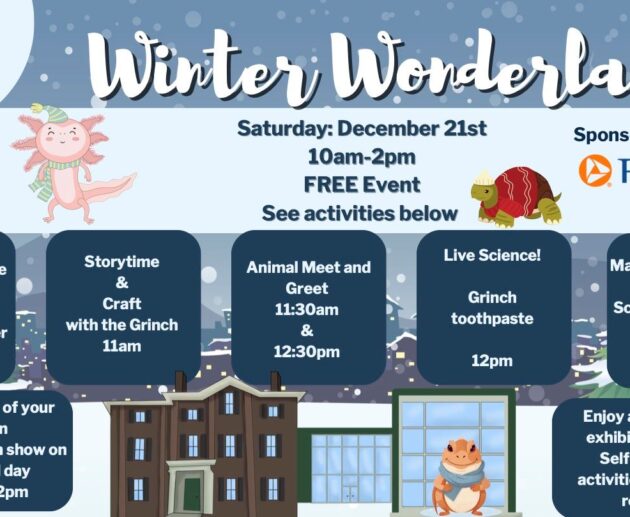Winter Wonderlab LASC 24