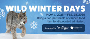 Lou Zoo Winter Days 26