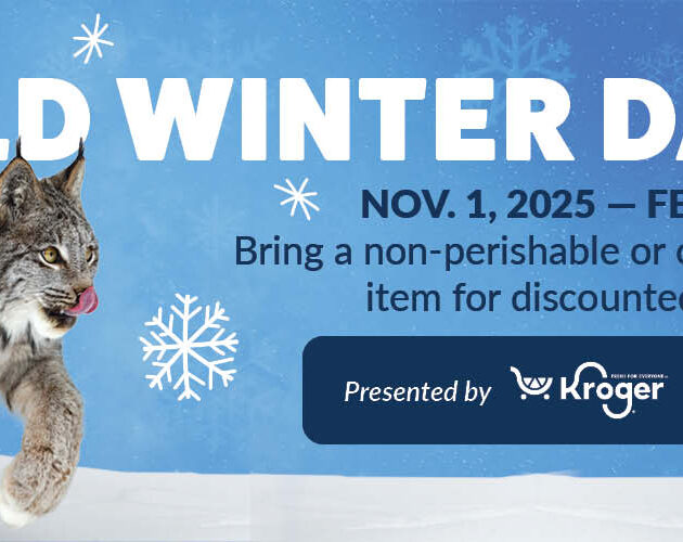 Lou Zoo Winter Days 26