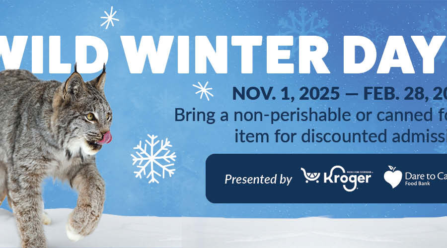 Lou Zoo Winter Days 26