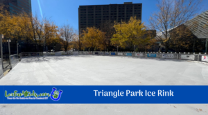 Triangle Park Ice Rink Image