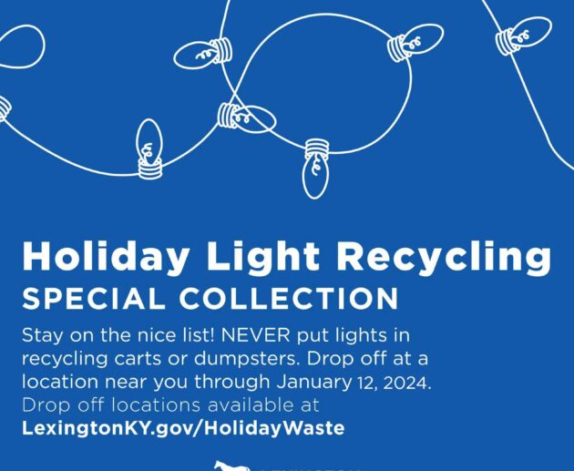 Holiday light collection 24