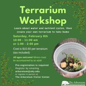 Terrarium Workshop