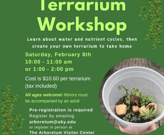 Terrarium workshop 25