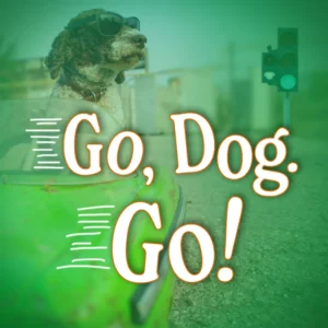 Go, Dog. Go! *Sensory Friendly