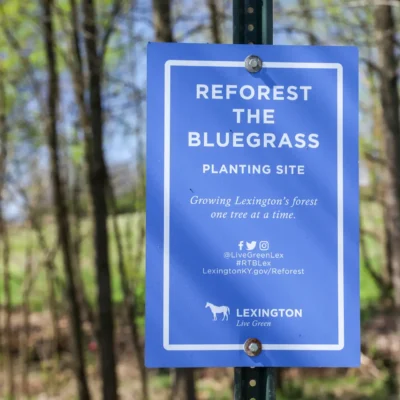 Reforest the Bluegrass