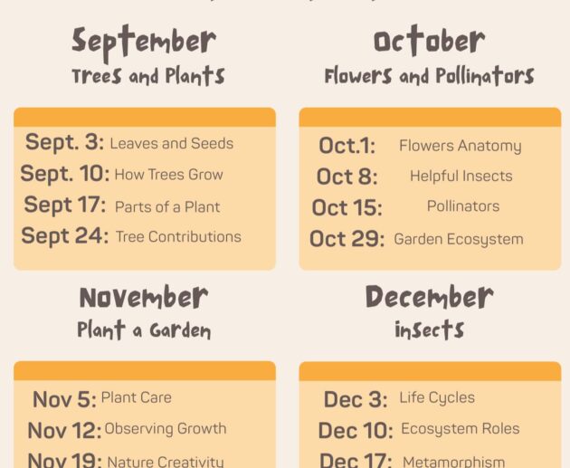 Seedlings in STEAM Fall 2025