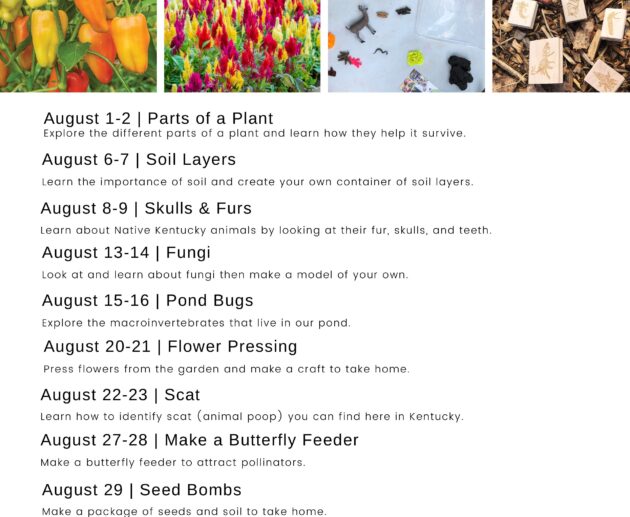 KCG August 2025
