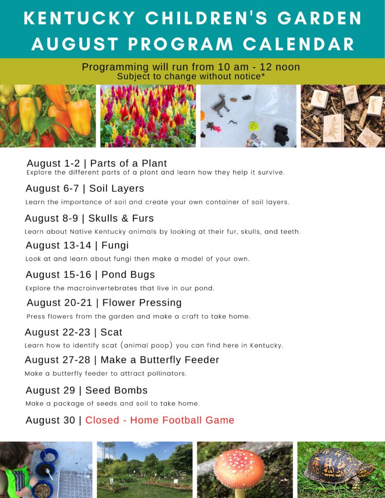 KCG August 2025