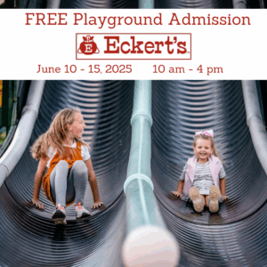 FREE Playground Days