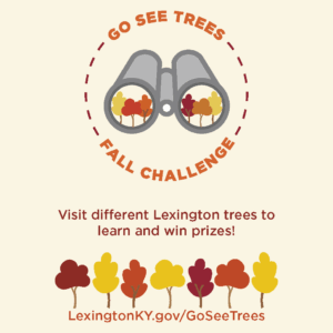 Go See Trees 2025