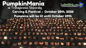 Pumpkinmania 26