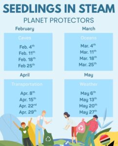 Seedlings in STEAM Winter 26