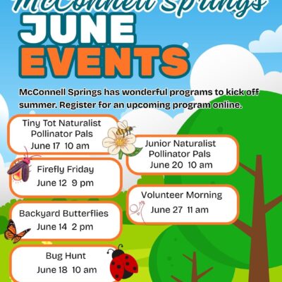 Bug Hunt