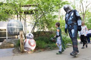 May the Fourth Image