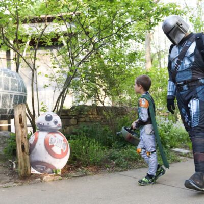 May the Fourth Celebration