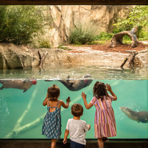 Fort Wayne Zoo