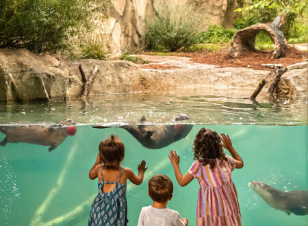 Fort Wayne Zoo