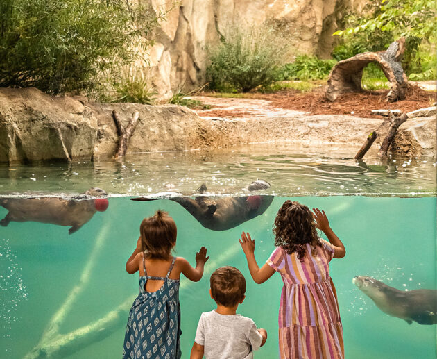 Fort Wayne Zoo