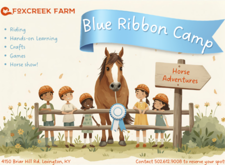 Blue Ribbon Camp 26