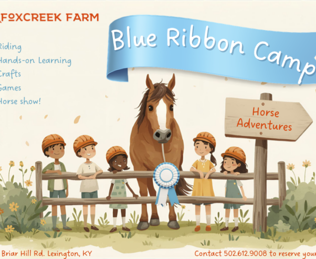Blue Ribbon Camp 26