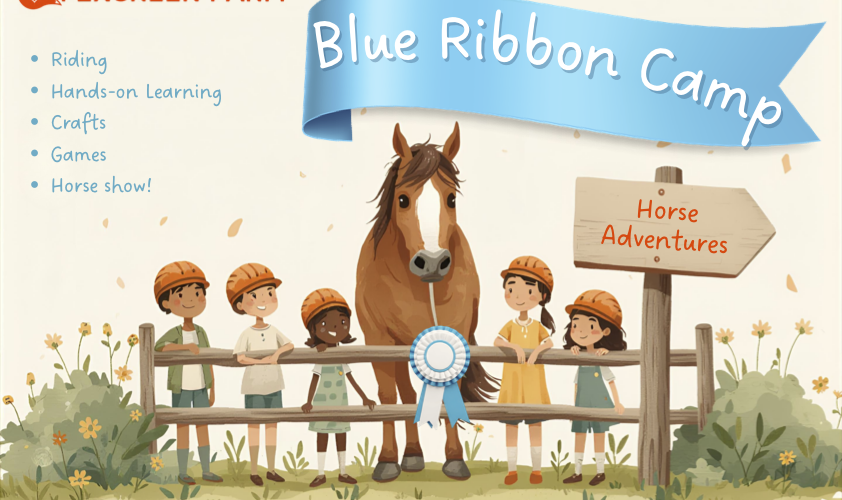 Blue Ribbon Camp 26