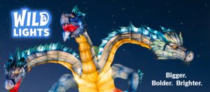 Lou Zoo Wild Lights 26