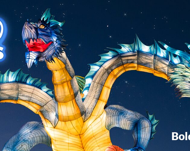 Lou Zoo Wild Lights 26