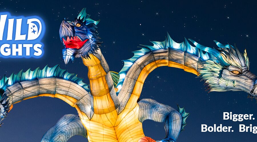 Lou Zoo Wild Lights 26