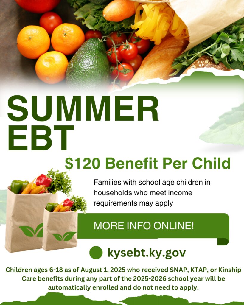 Summer EBT flyer 2026